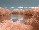 590nm filter