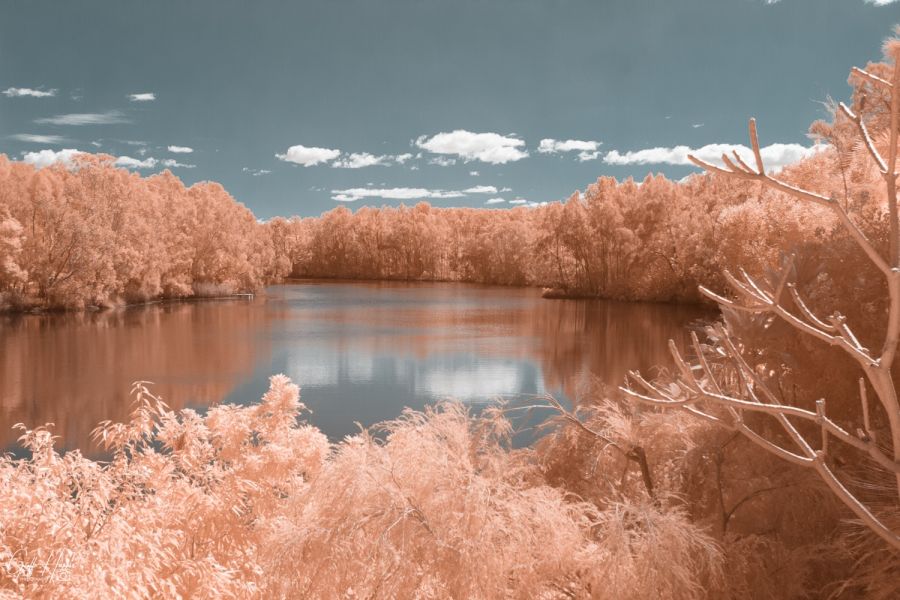590nm filter