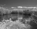 720nm filter
