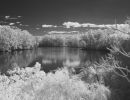 850nm filter