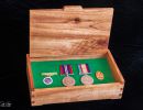 medalcase